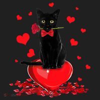 Black Cat Red Rose Valentines Day Women's Sweatshirt thumb 2
