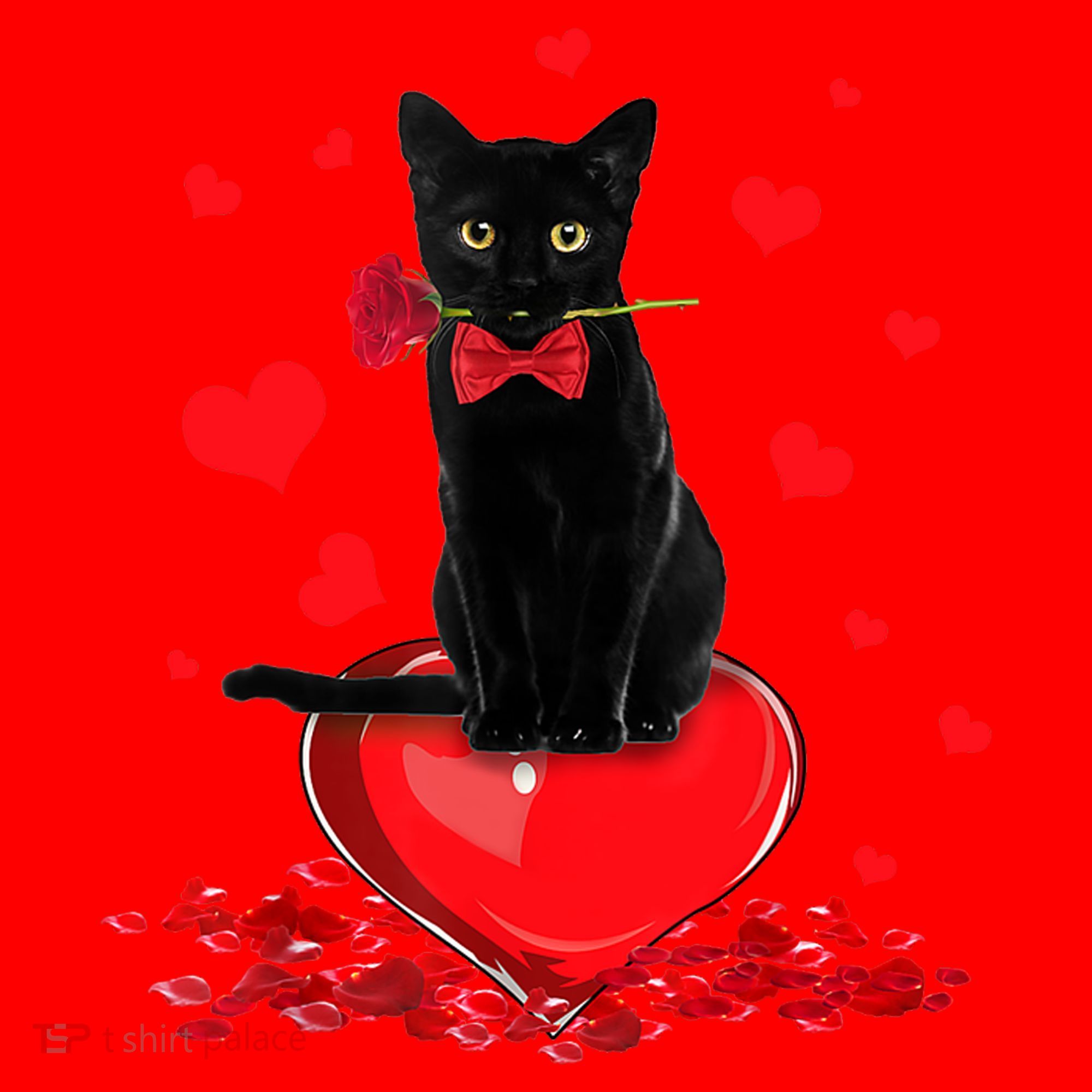Black Cat Red Rose Valentines Day Santa Hat