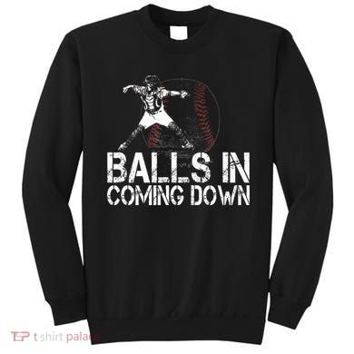 Baseball Catcher Softball Catcher Baseball Fan Sweatshirt