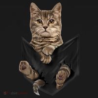 Brown Cat Sits In Pocket TShirt Cats Tee Shirt Gifts Women's Hoodie thumb 2
