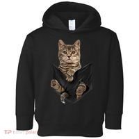 Brown Cat Sits In Pocket TShirt Cats Tee Shirt Gifts Toddler Hoodie thumb 0