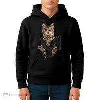 Brown Cat Sits In Pocket TShirt Cats Tee Shirt Gifts Kids Hoodie thumb 4