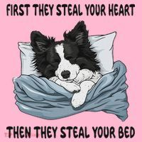 Border Collie Sleeping Pajamas Nightgown Coaster thumb 2