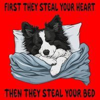 Border Collie Sleeping Pajamas Nightgown Santa Hat thumb 1