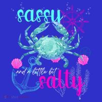Blue Crab Sassy And Salty Attitude Sweet Southern Prep Gear Gift Apron thumb 3