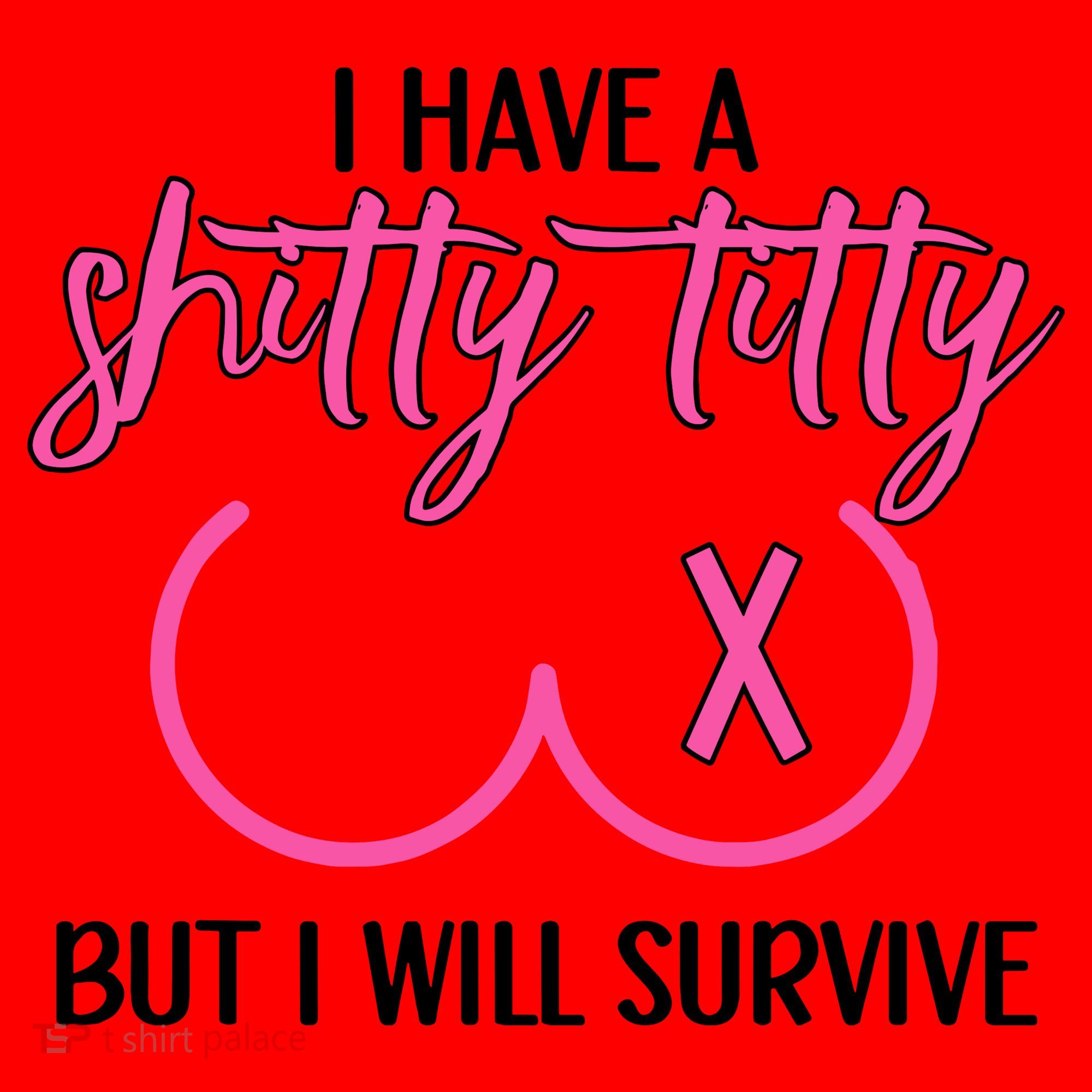 Breast Cancer Tees I Have A Shitty Titty But I Will Survive Santa Hat