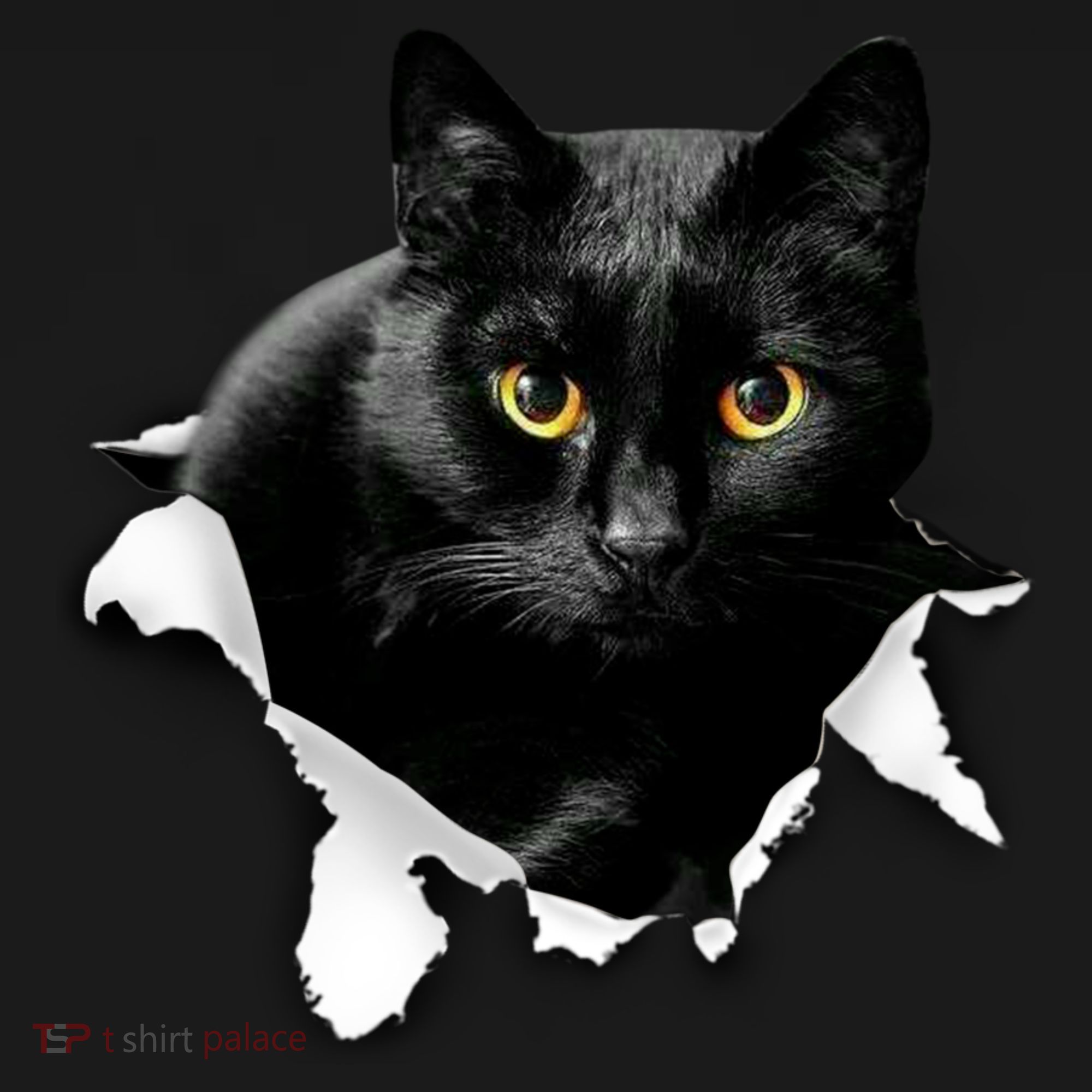 Black Cat Torn Cloth Gifts For Cat Lover Cat Dad Cat Mom Women's Hoodie