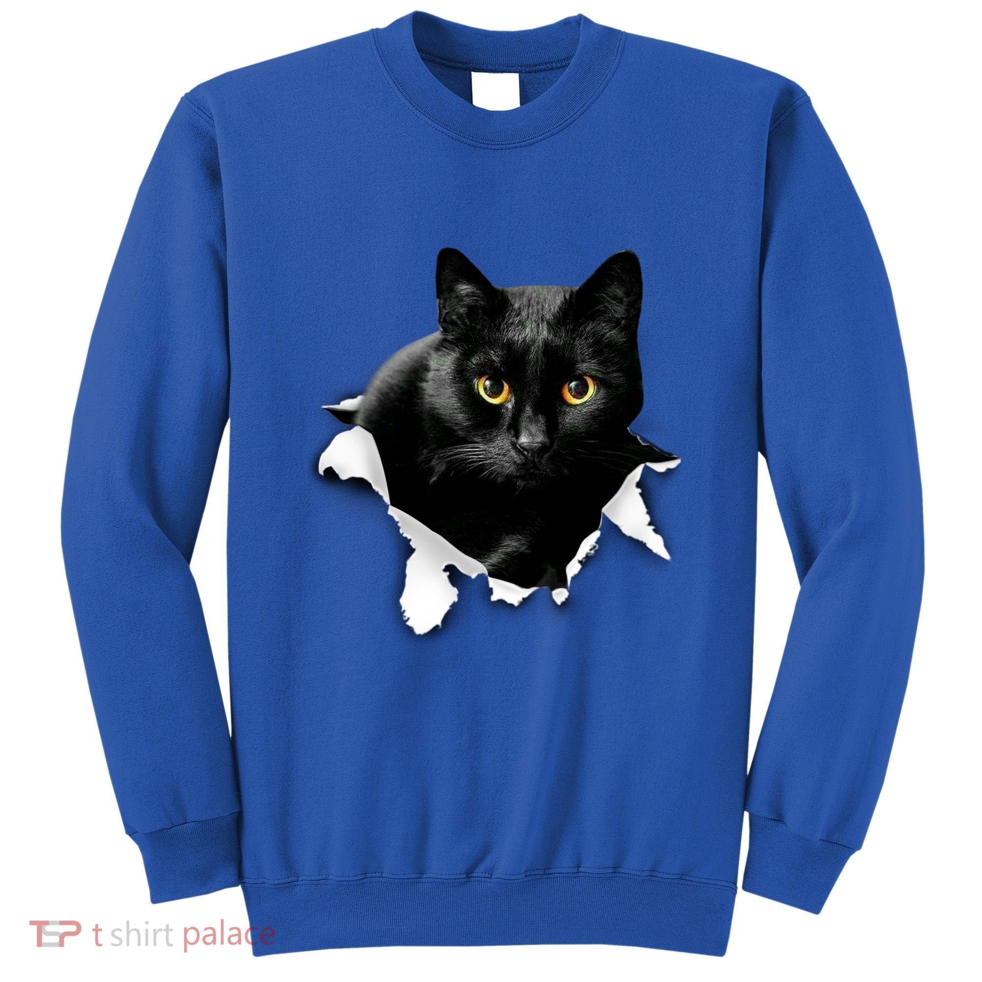 Black Cat Torn Cloth Gifts For Cat Lover Cat Dad Cat Mom Sweatshirt