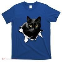 Black Cat Torn Cloth Gifts For Cat Lover Cat Dad Cat Mom T-Shirt thumb 0