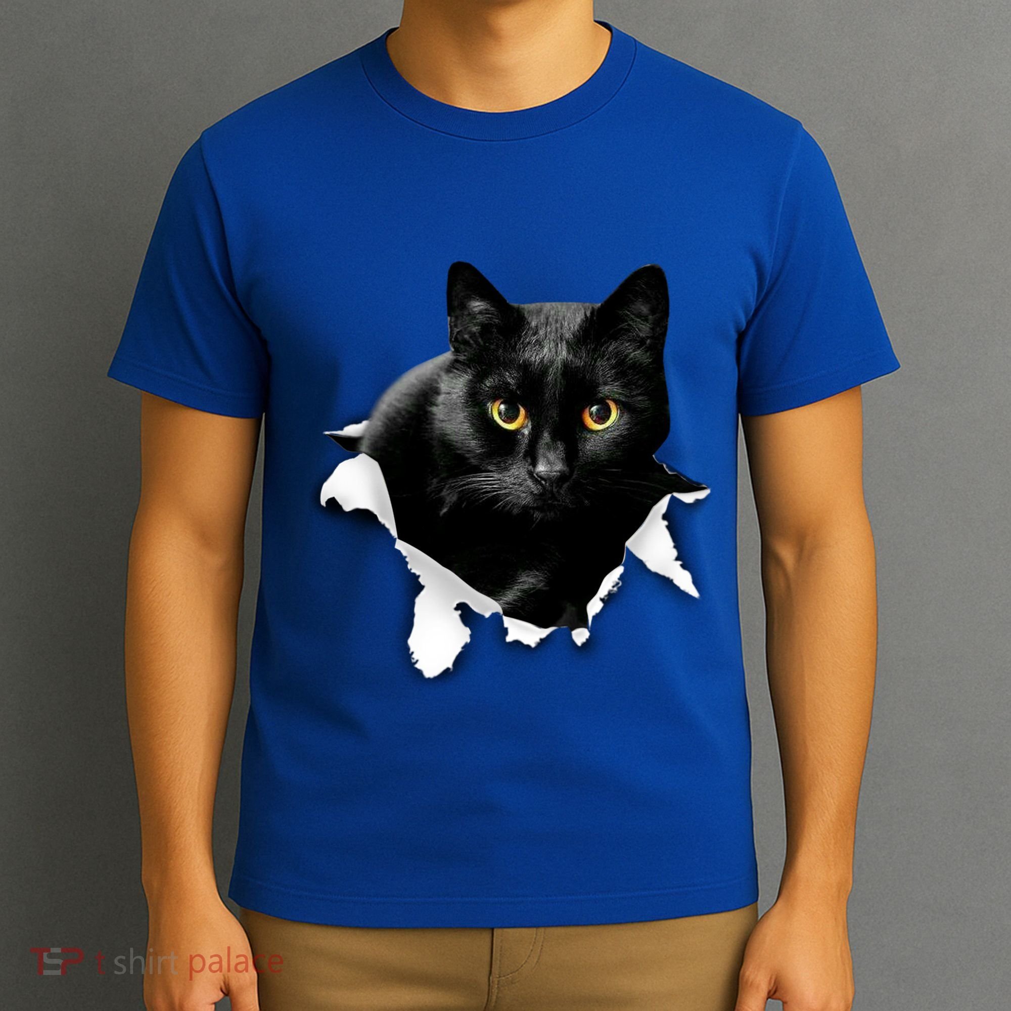 Black Cat Torn Cloth Gifts For Cat Lover Cat Dad Cat Mom T-Shirt