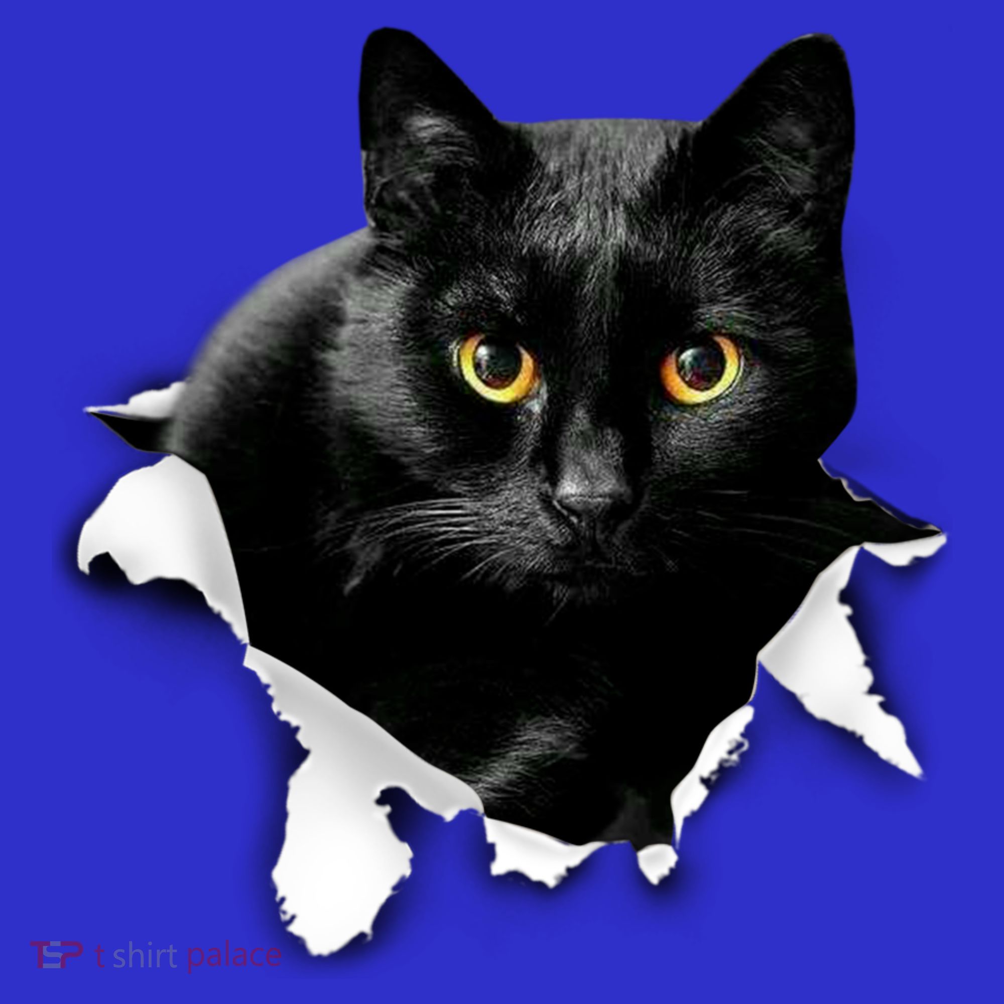 Black Cat Torn Cloth Gifts For Cat Lover Cat Dad Cat Mom T-Shirt