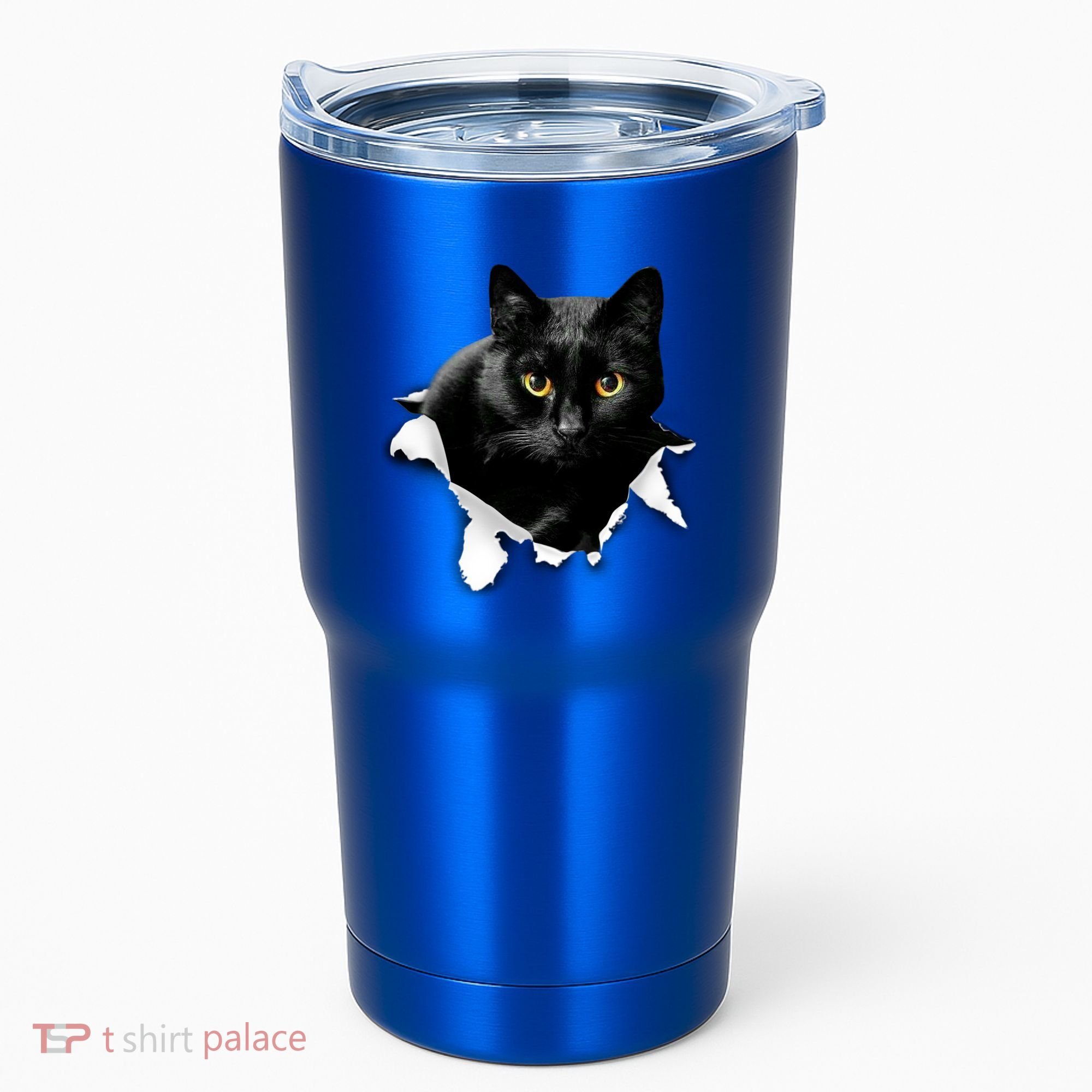 Black Cat Torn Cloth Gifts For Cat Lover Cat Dad Cat Mom Tumbler