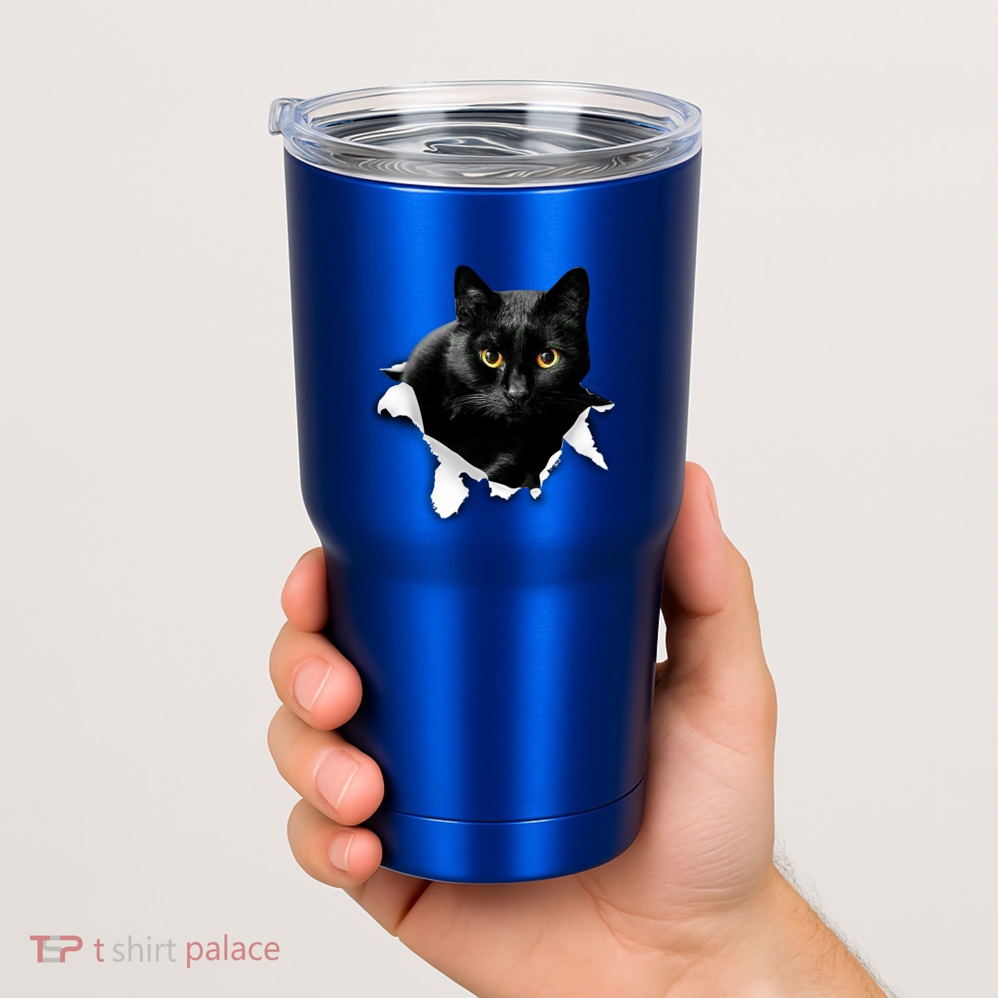 Black Cat Torn Cloth Gifts For Cat Lover Cat Dad Cat Mom Tumbler