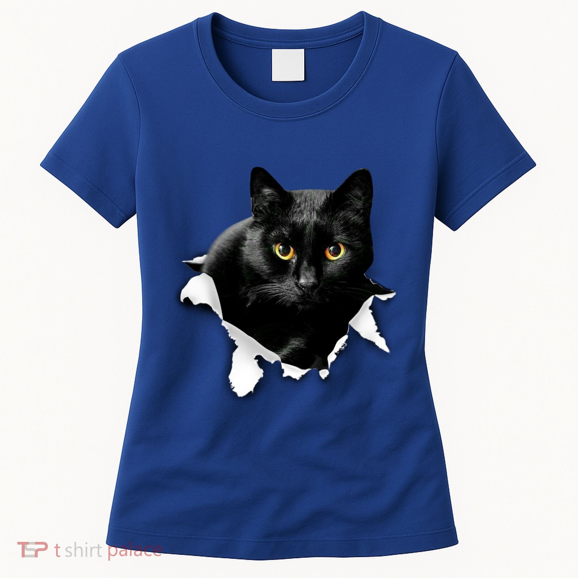 Black Cat Torn Cloth Gifts For Cat Lover Cat Dad Cat Mom Women's T-Shirt