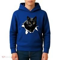 Black Cat Torn Cloth Gifts For Cat Lover Cat Dad Cat Mom Kids Hoodie thumb 4