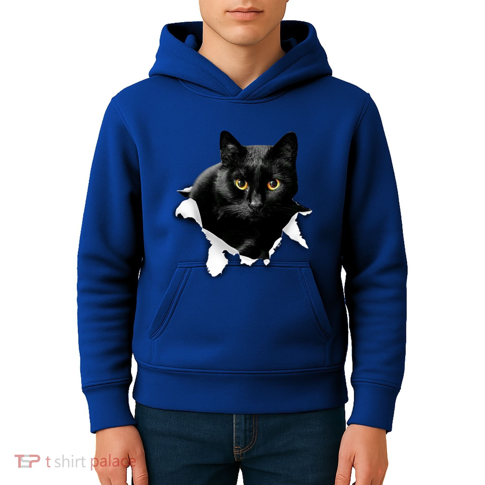 Black Cat Torn Cloth Gifts For Cat Lover Cat Dad Cat Mom Kids Hoodie