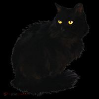 Black Cat Women Spooky Yellow Eyes Halloween Cat Coffee Mug thumb 5