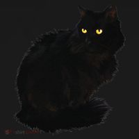 Black Cat Women Spooky Yellow Eyes Halloween Cat Toddler Hoodie thumb 2
