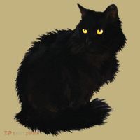 Black Cat Women Spooky Yellow Eyes Halloween Cat Hoodie thumb 2