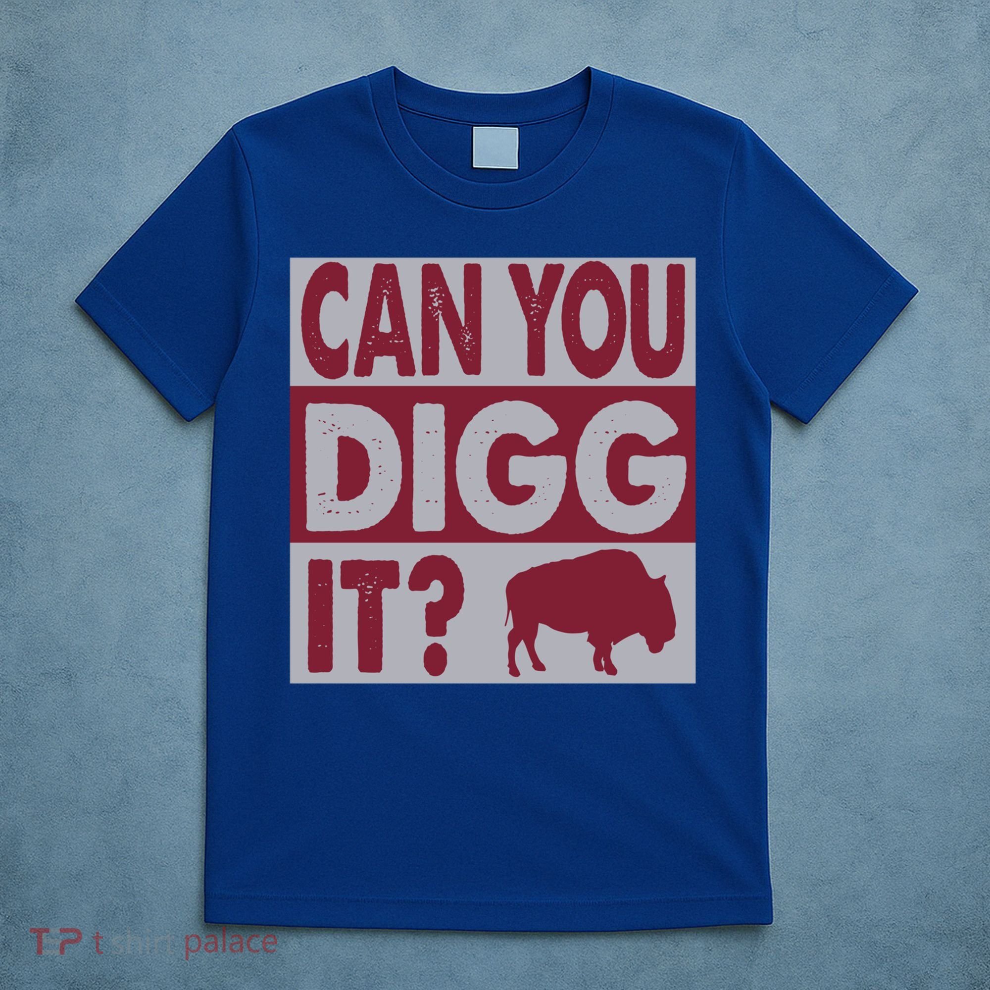 Buffalo Can You Digg It Great Football Fans Lovers Gift T-Shirt