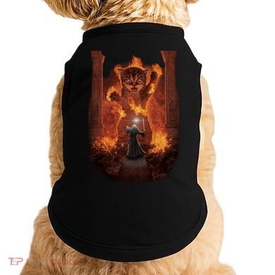 Balrog Cat You Shall Not Pass Wizard Monster Fight Doggie Tank