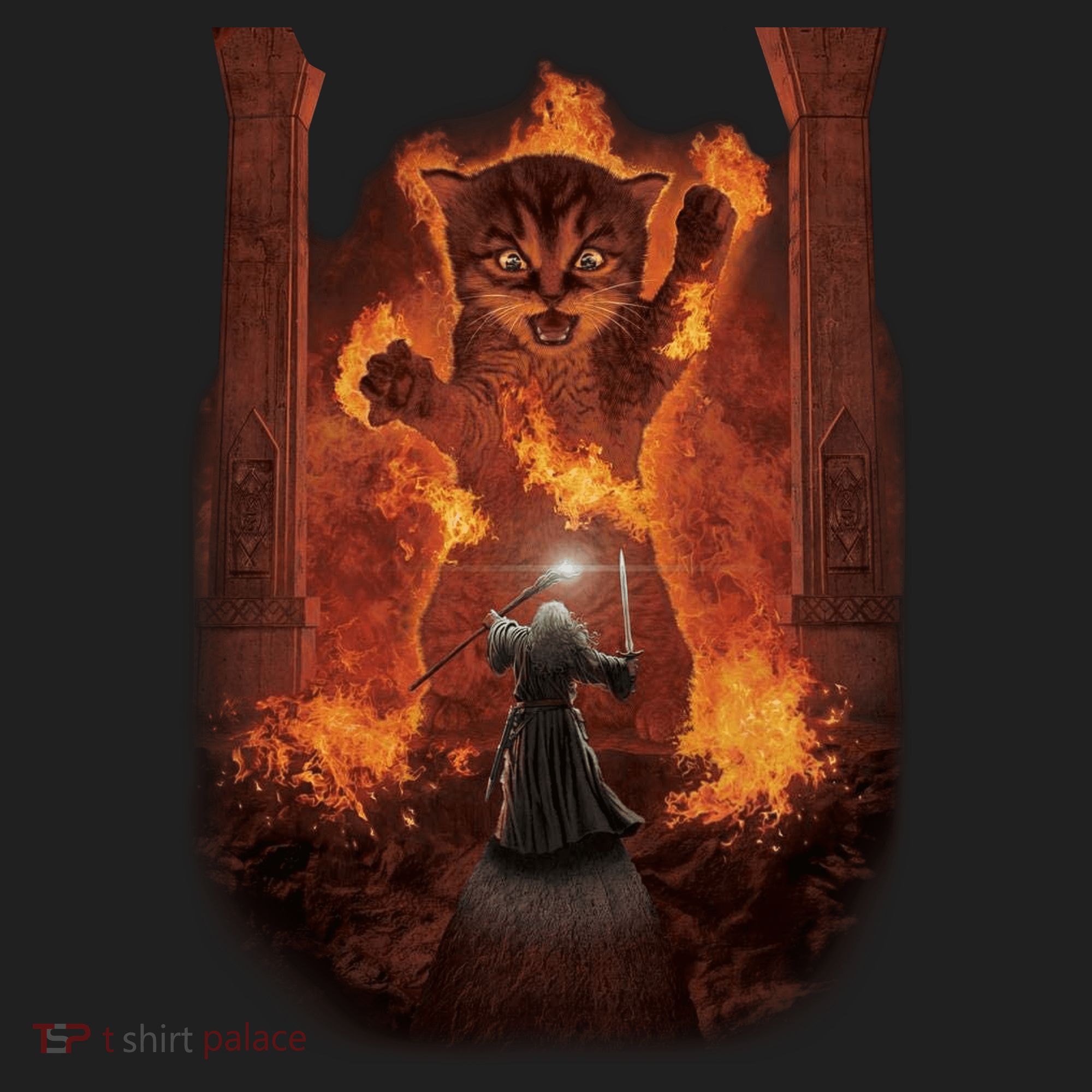 Balrog Cat You Shall Not Pass Wizard Monster Fight Beanie