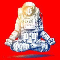 Bitcoin Cryptocurrency Yoga Astronaut Santa Hat thumb 1