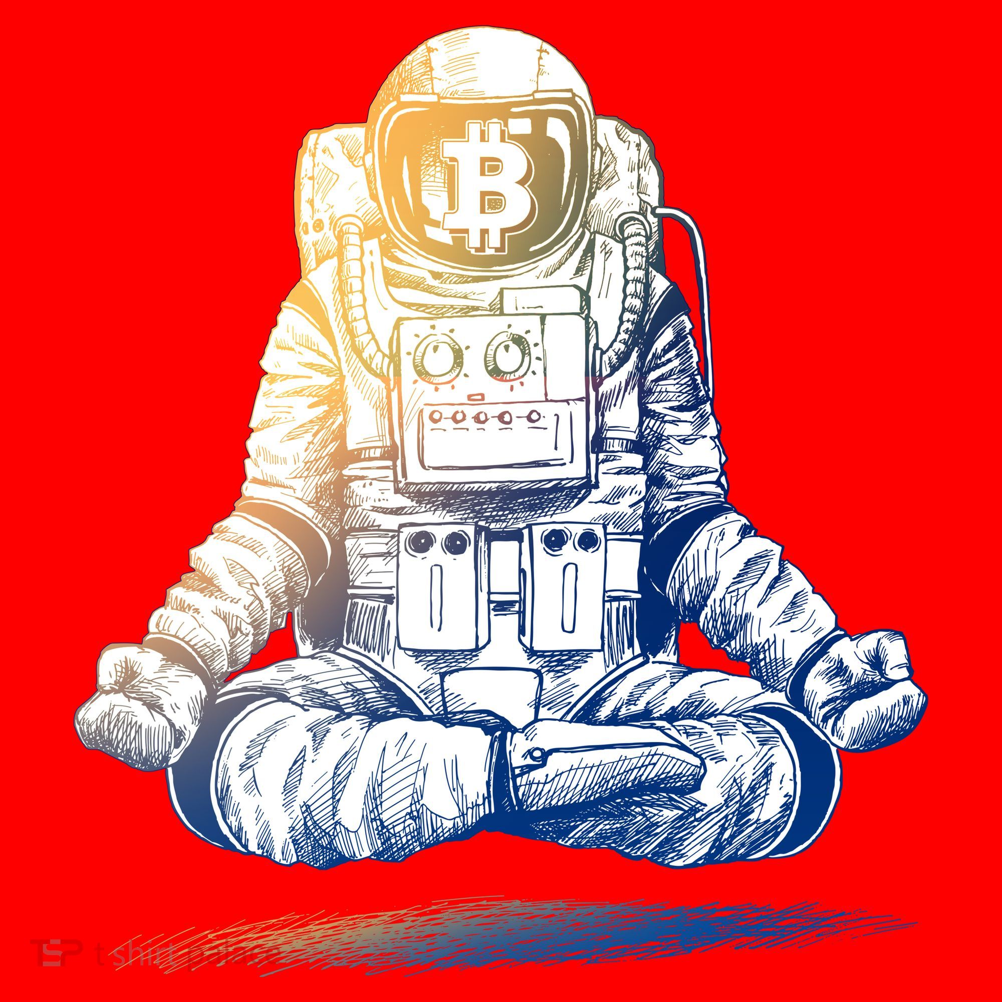 Bitcoin Cryptocurrency Yoga Astronaut Santa Hat