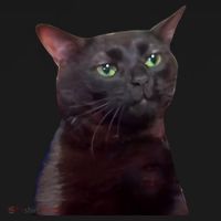 Black Cat Zoning Out Backpack thumb 2