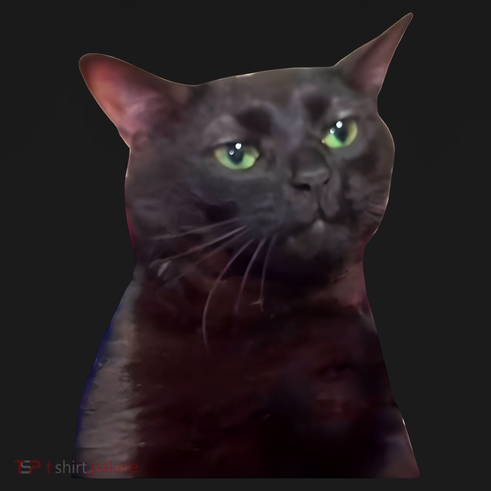 Black Cat Zoning Out Backpack