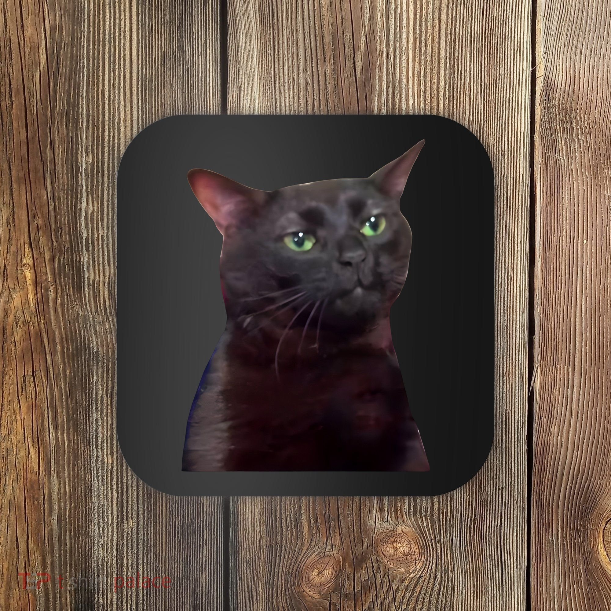 Black Cat Zoning Out Coaster