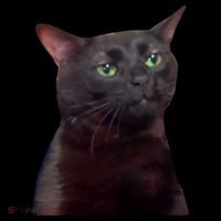 Black Cat Zoning Out Toddler Hoodie thumb 2