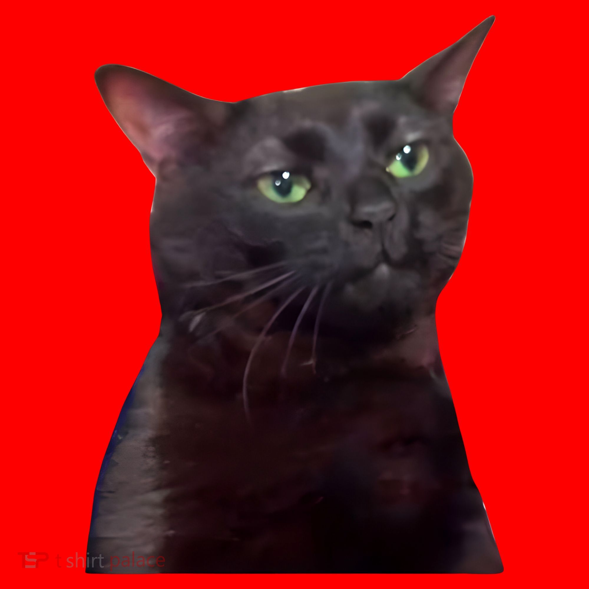 Black Cat Zoning Out Santa Hat