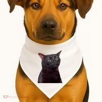 Black Cat Zoning Out USA-Made Doggie Bandana thumb 1