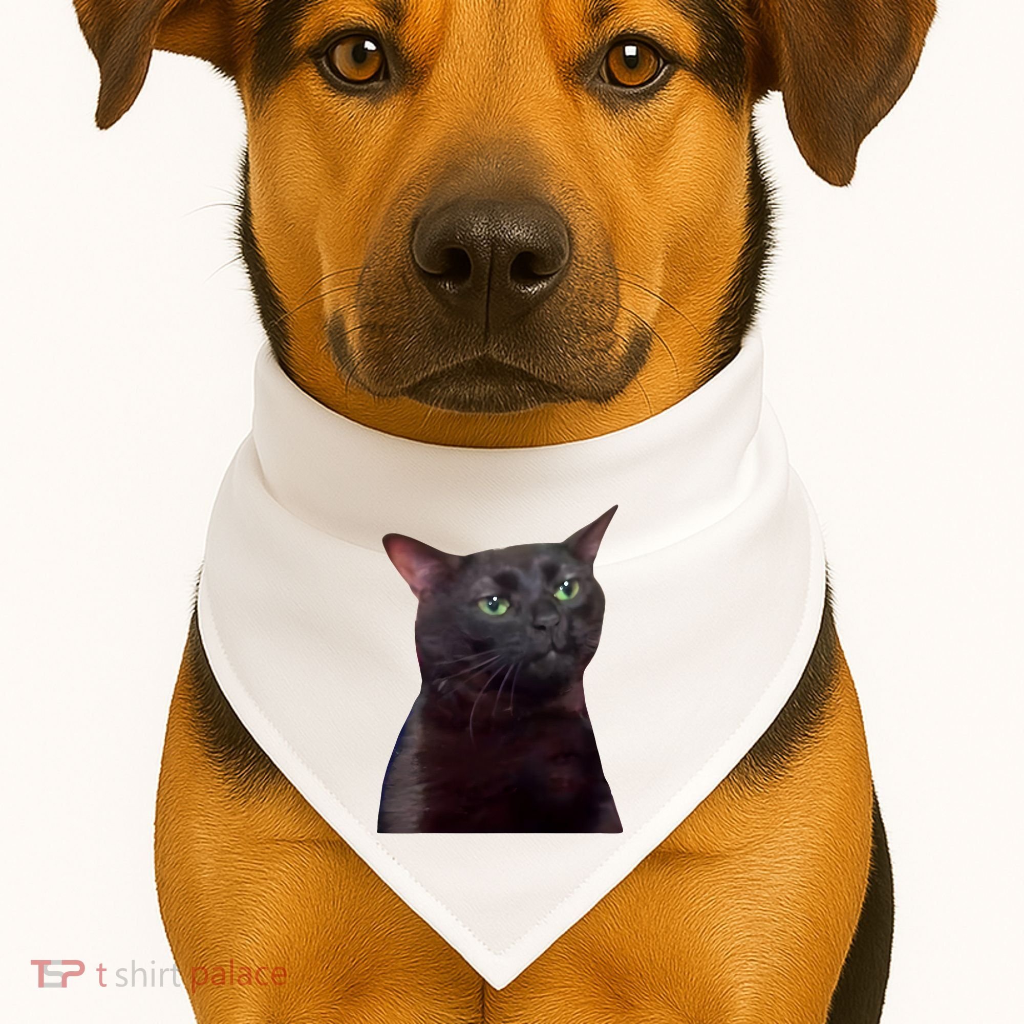 Black Cat Zoning Out USA-Made Doggie Bandana