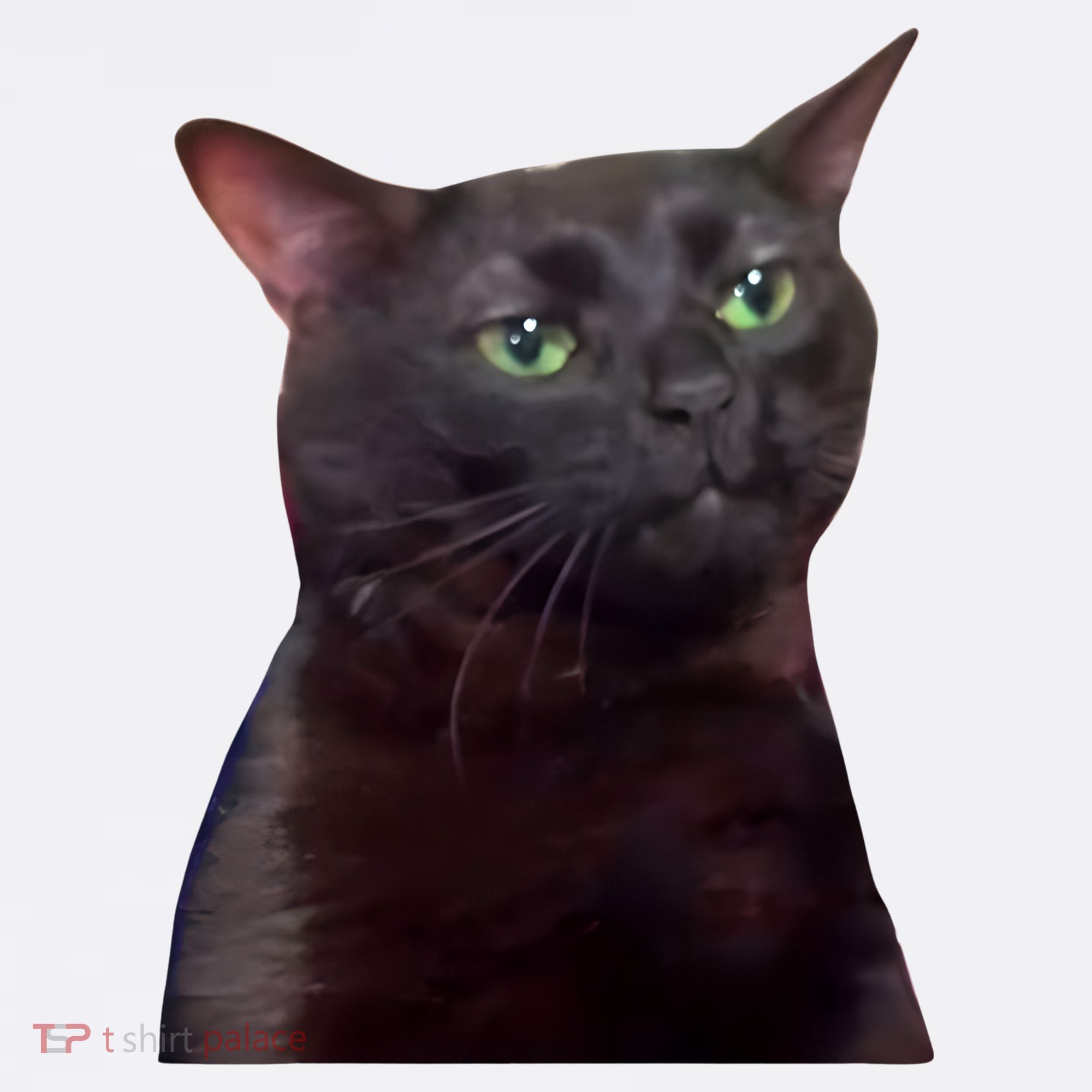 Black Cat Zoning Out Apron