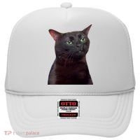 Black Cat Zoning Out Hat thumb 0