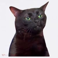 Black Cat Zoning Out Golf Towel thumb 3