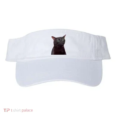 Visor