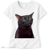 Black Cat Zoning Out Women's T-Shirt thumb 0