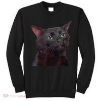 Black Cat Zoning Out Sweatshirt thumb 0