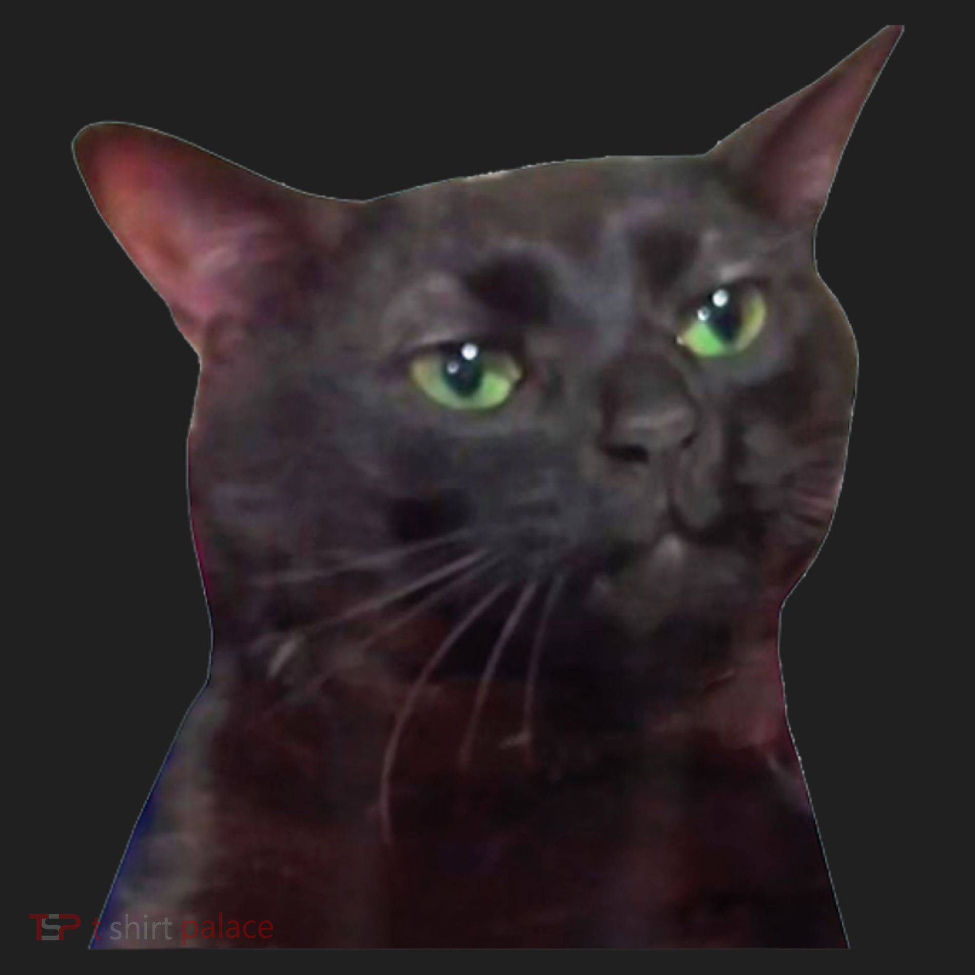 Black Cat Zoning Out Beanie