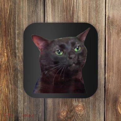 Black Cat Zoning Out Coaster
