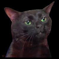 Black Cat Zoning Out Coaster thumb 2