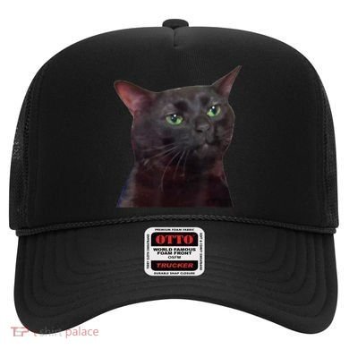 Black Cat Zoning Out Hat