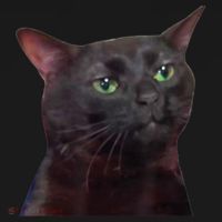 Black Cat Zoning Out Tank Top thumb 6