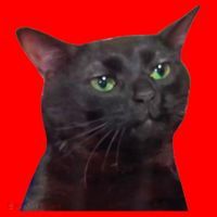 Black Cat Zoning Out Santa Hat thumb 1