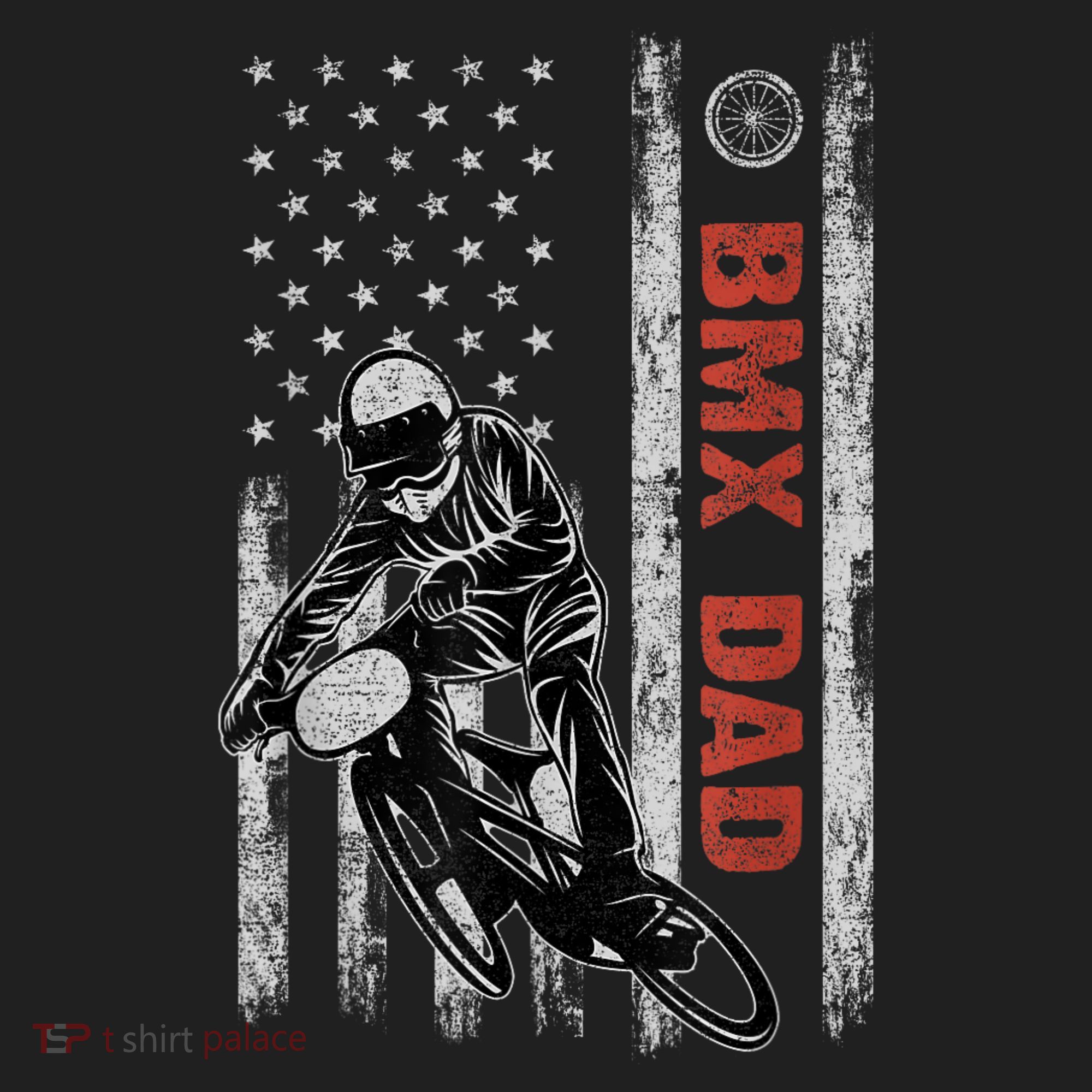 BMX Dad American Flag Fathers Day 4th Of July Gift Beanie