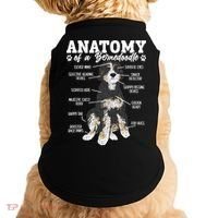 Bernedoodle Dog Anatomy Of A Bernedoodle Doggie Tank thumb 0