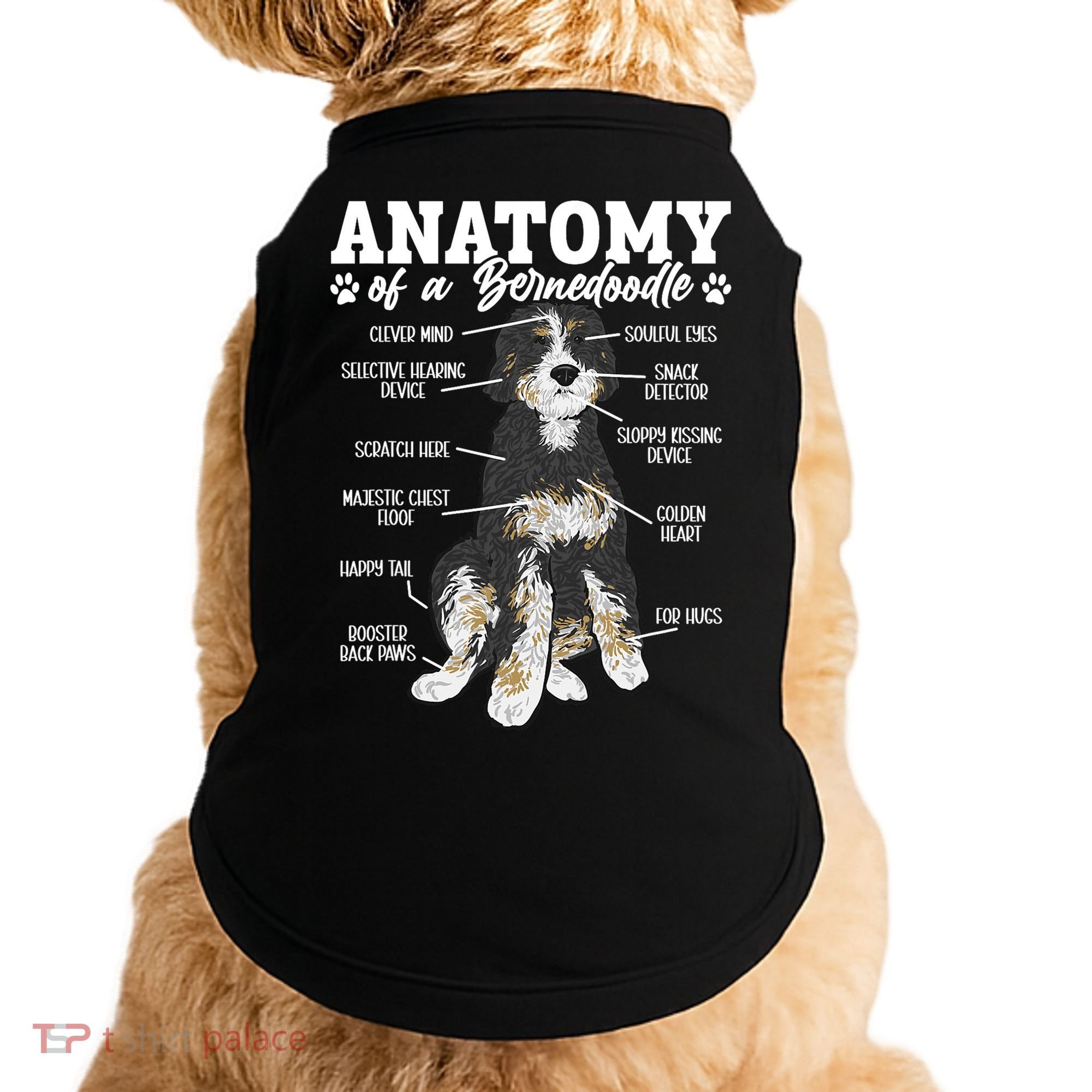Bernedoodle Dog Anatomy Of A Bernedoodle Doggie Tank